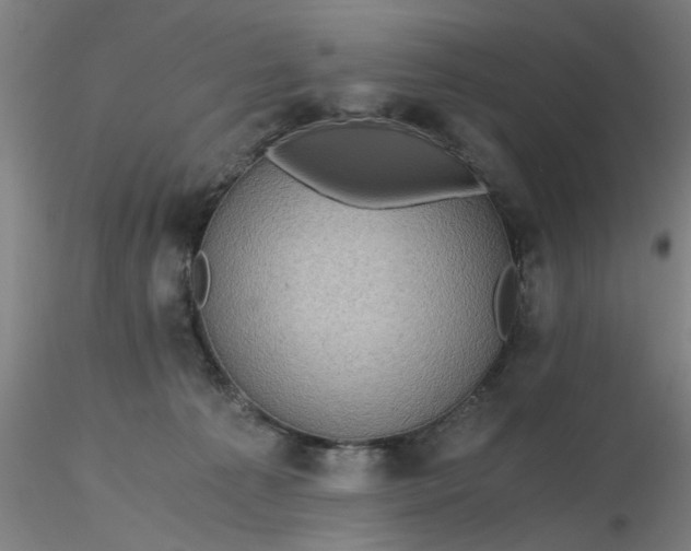 X0000116480225200912231137