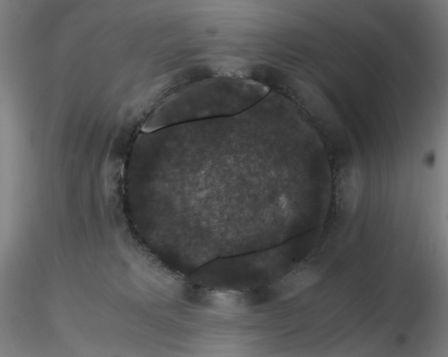 X0000116480229200912231137