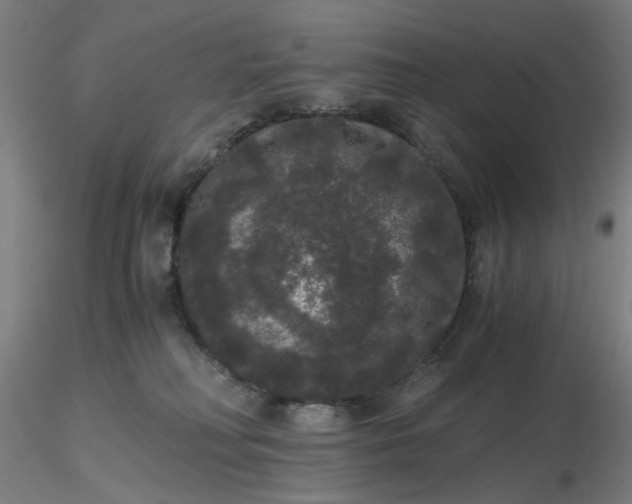 X0000116480230200912231137