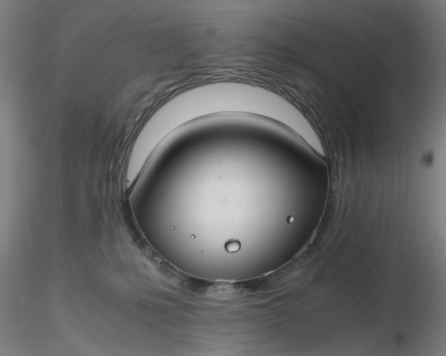 X0000116480231200912231137