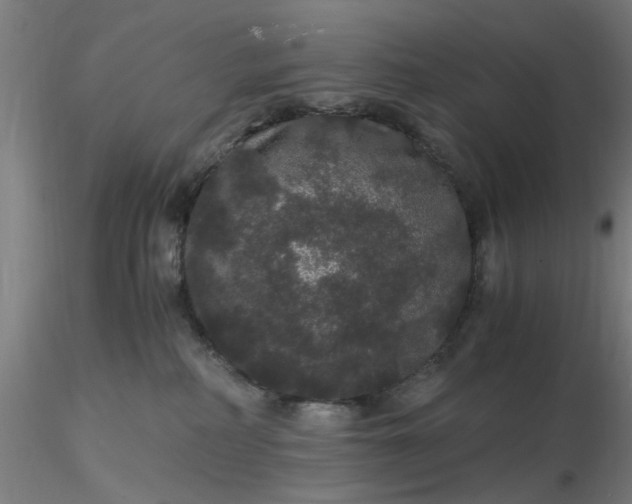 X0000116480234200912231137