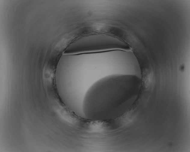 X0000116480235200912231137