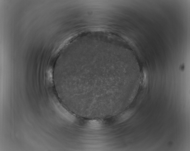 X0000116480238200912231137