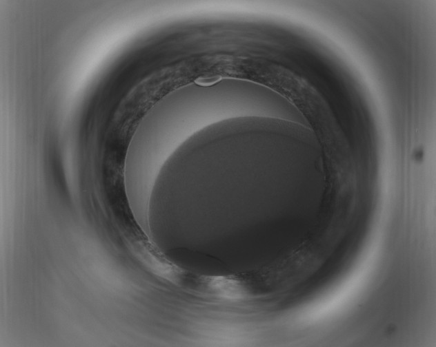 X0000116480239200912231137