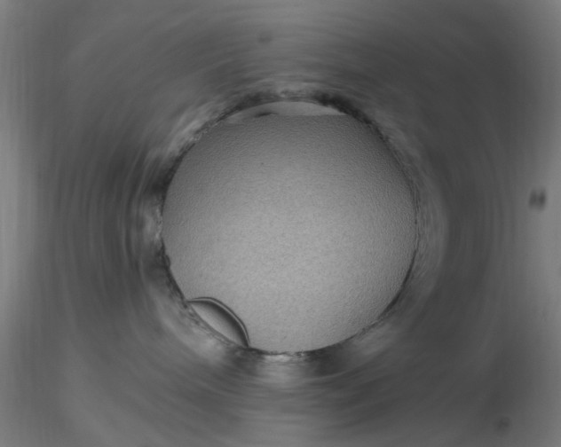 X0000116480240200912231137