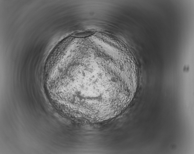 X0000116480241200912231136