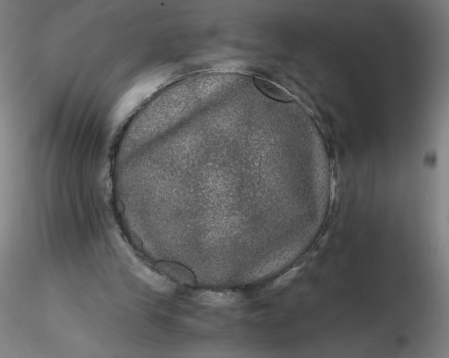 X0000116480245200912231136