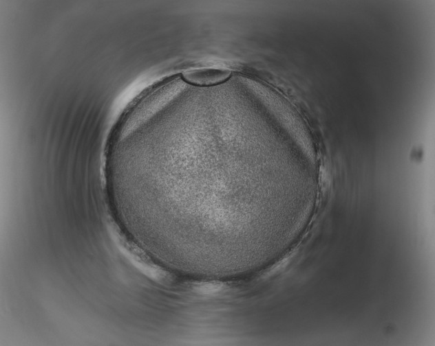 X0000116480246200912231136