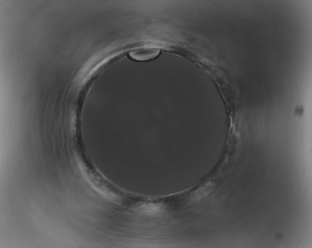 X0000116480247200912231136