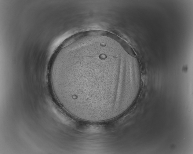 X0000116480248200912231136