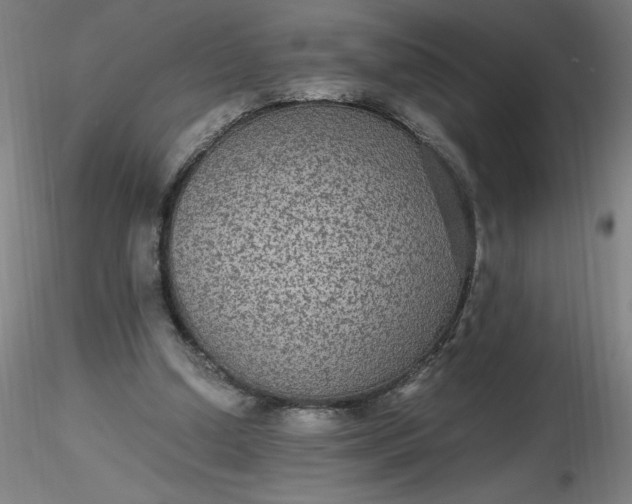 X0000116480250200912231136