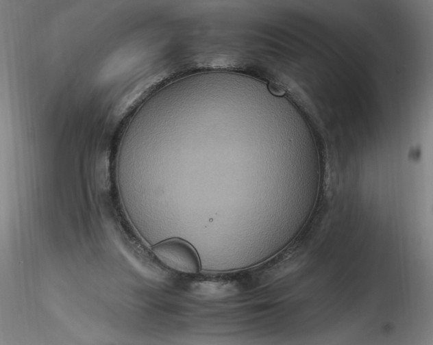 X0000116480251200912231136