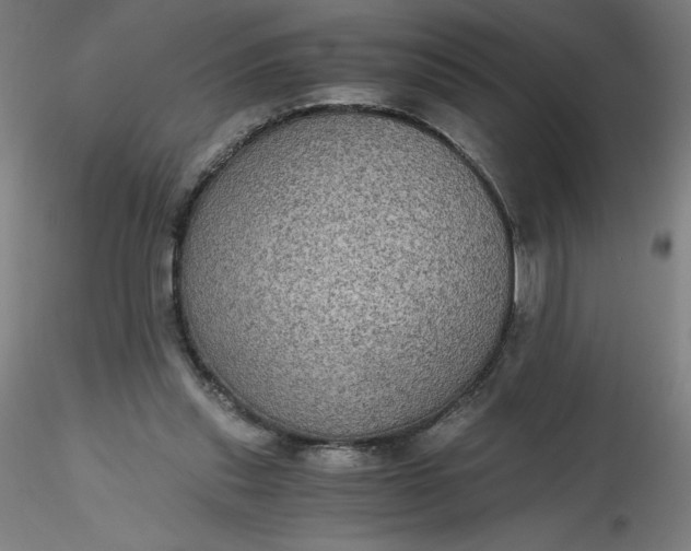 X0000116480253200912231136