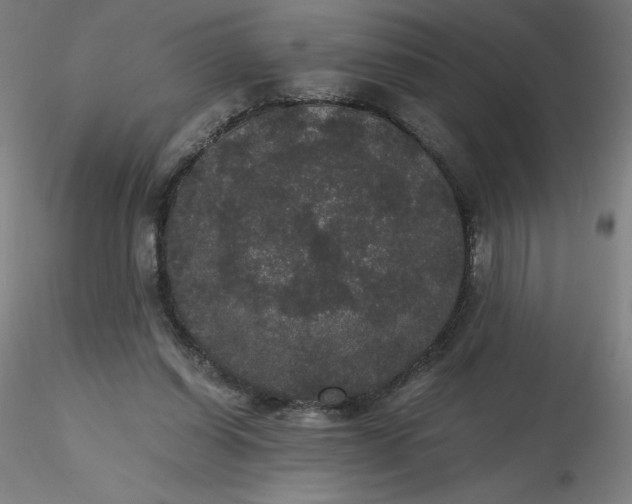 X0000116480254200912231136