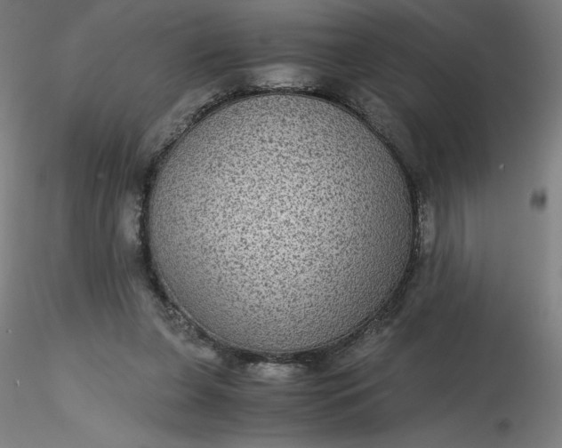 X0000116480255200912231136