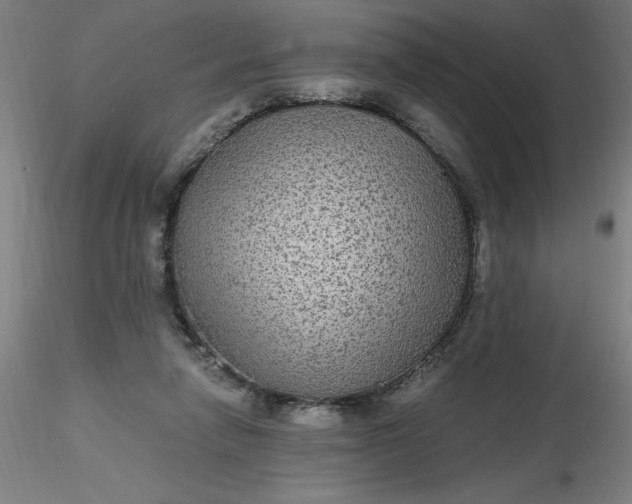 X0000116480258200912231136