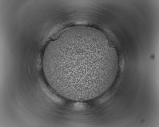 X0000116480261200912231136