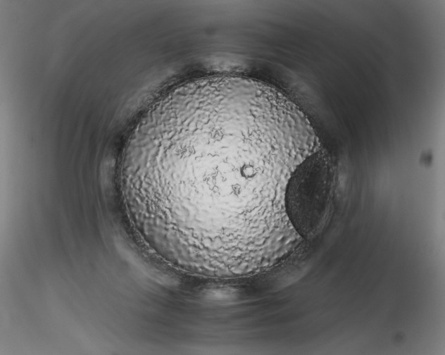 X0000116480263200912231136