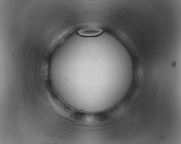 X0000116480264200912231137