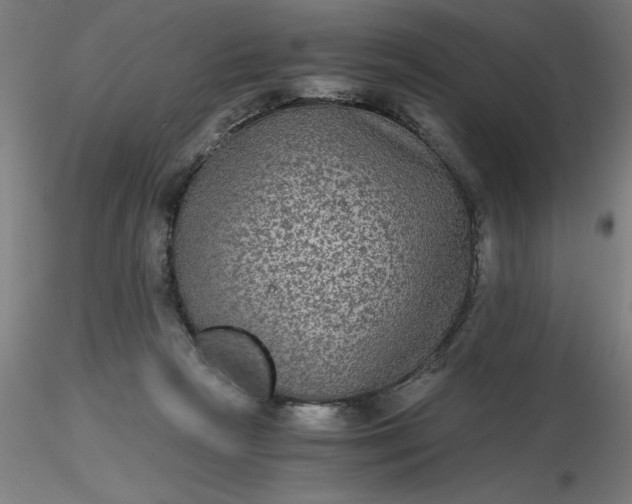 X0000116480265200912231137