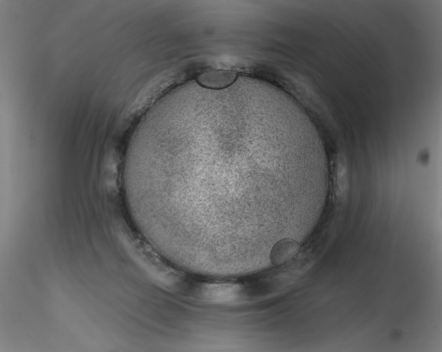 X0000116480266200912231137