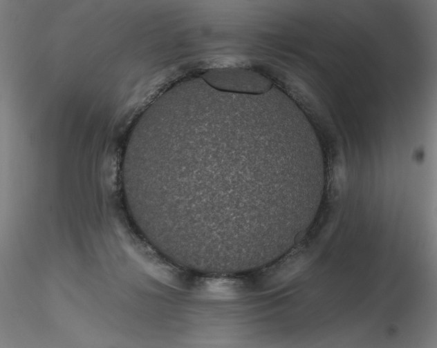 X0000116480268200912231137