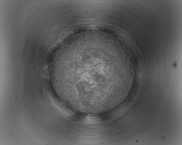 X0000116480270200912231137