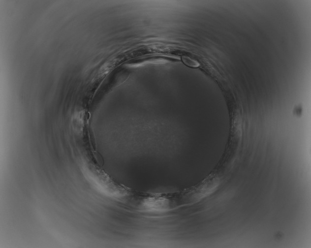 X0000116480271200912231137