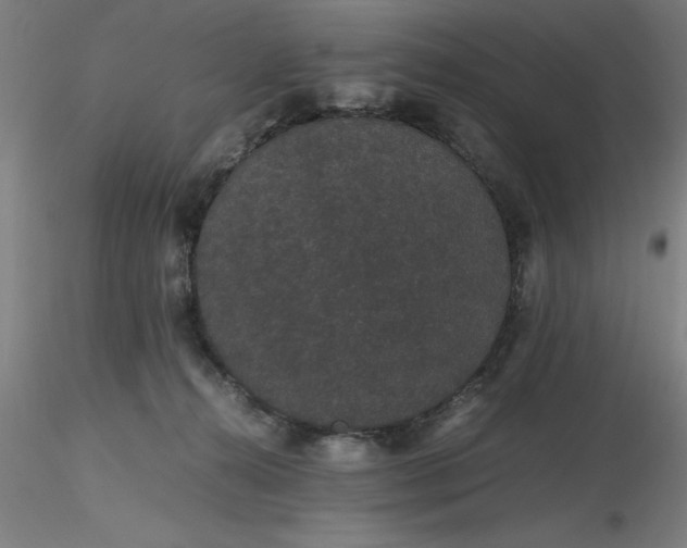 X0000116480272200912231137