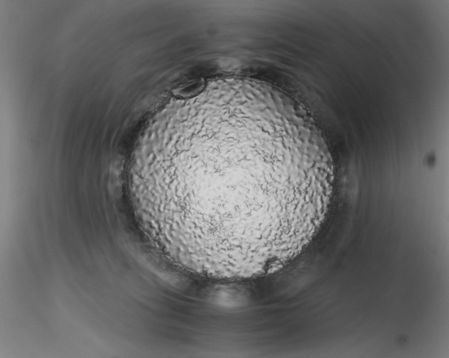 X0000116480275200912231137