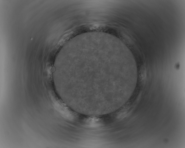 X0000116480276200912231137