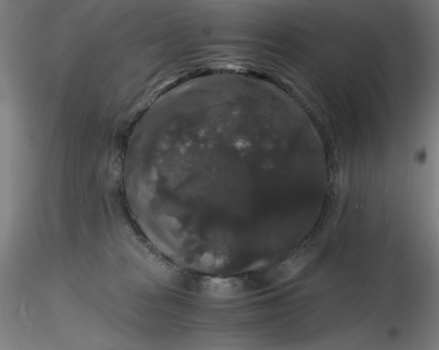 X0000116480277200912231137