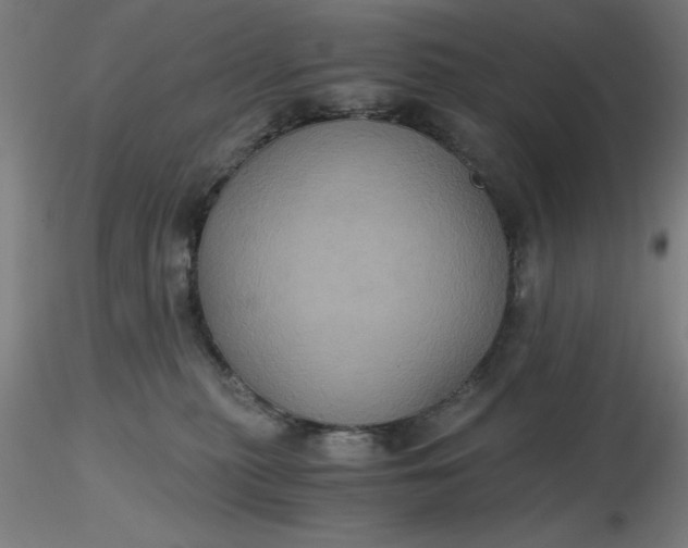 X0000116480279200912231137