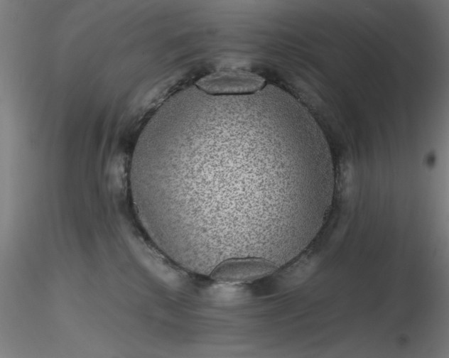 X0000116480280200912231137