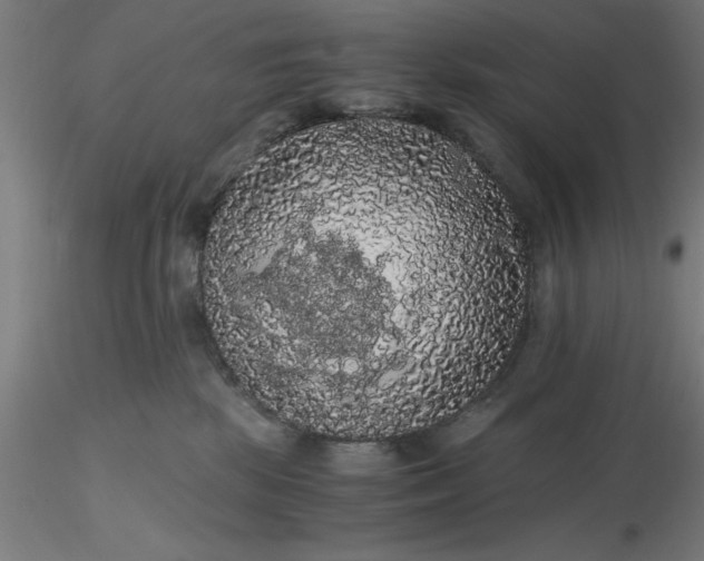 X0000116480281200912231137