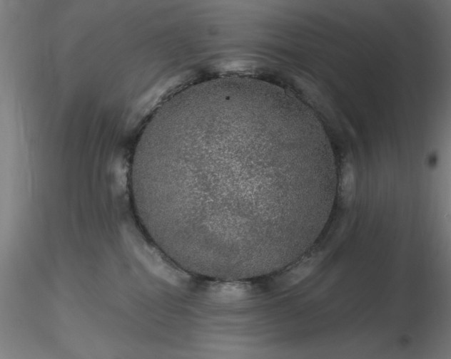 X0000116480282200912231137