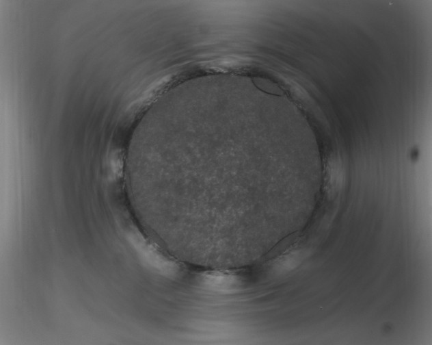 X0000116480284200912231137