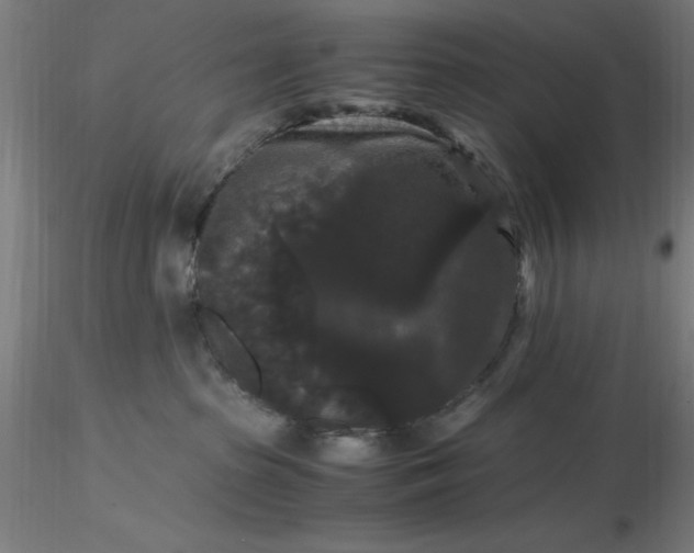 X0000116480285200912231137