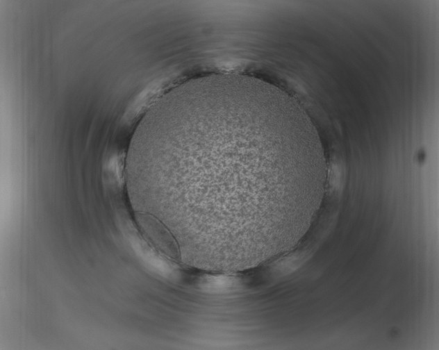 X0000116480286200912231137