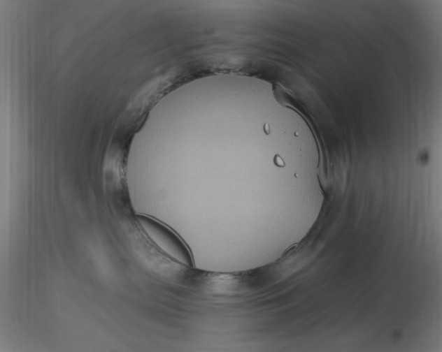 X0000116480287200912231137