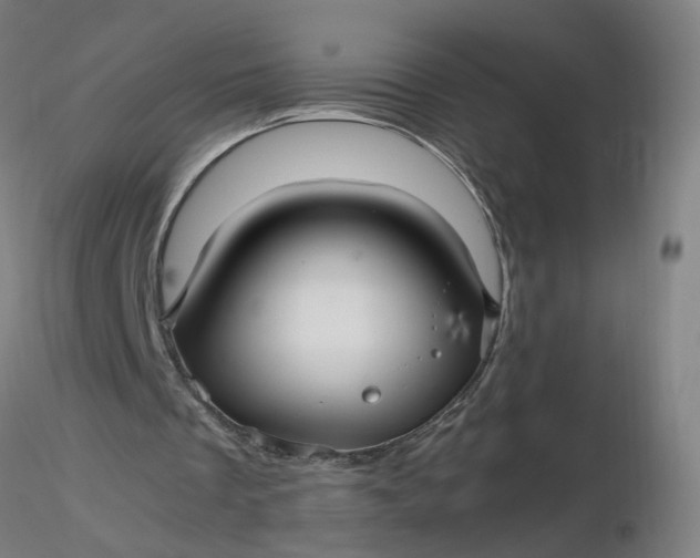 X0000116480289200912231136