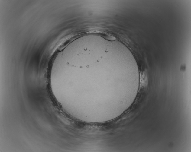 X0000116480291200912231136