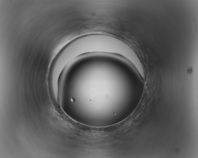 X0000116480292200912231136