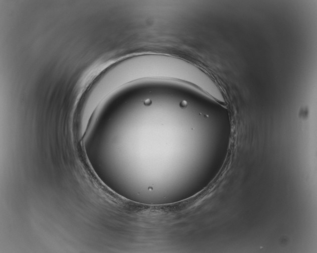 X0000116480294200912231136