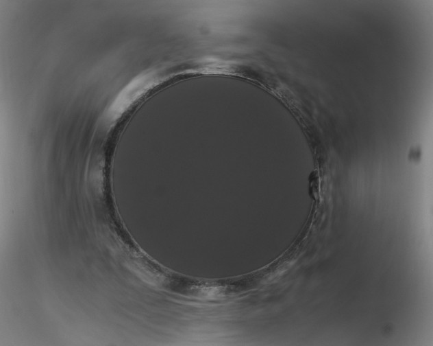 X0000116480295200912231136