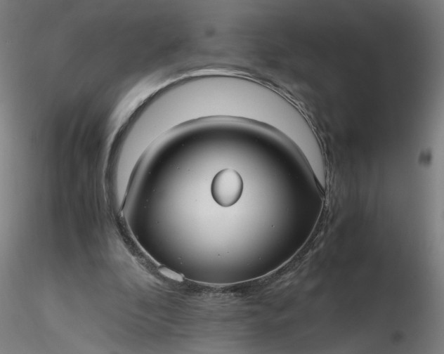 X0000116480296200912231136