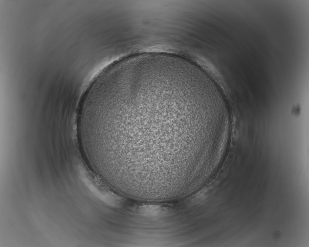 X0000116480298200912231136