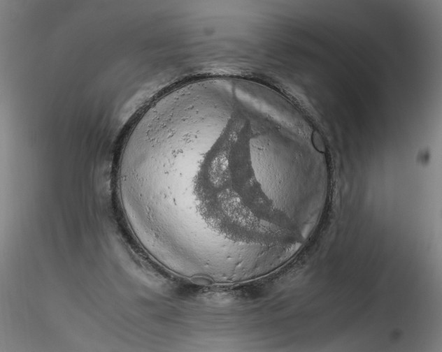 X0000116480299200912231136