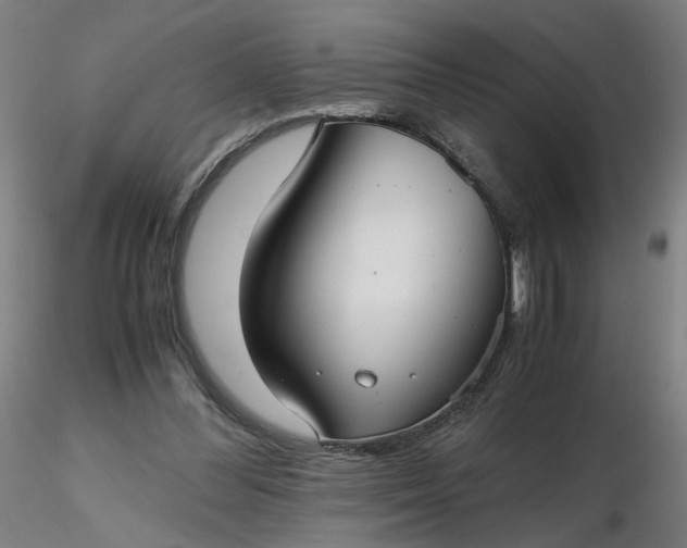 X0000116480300200912231136