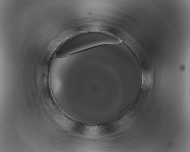 X0000116480301200912231136